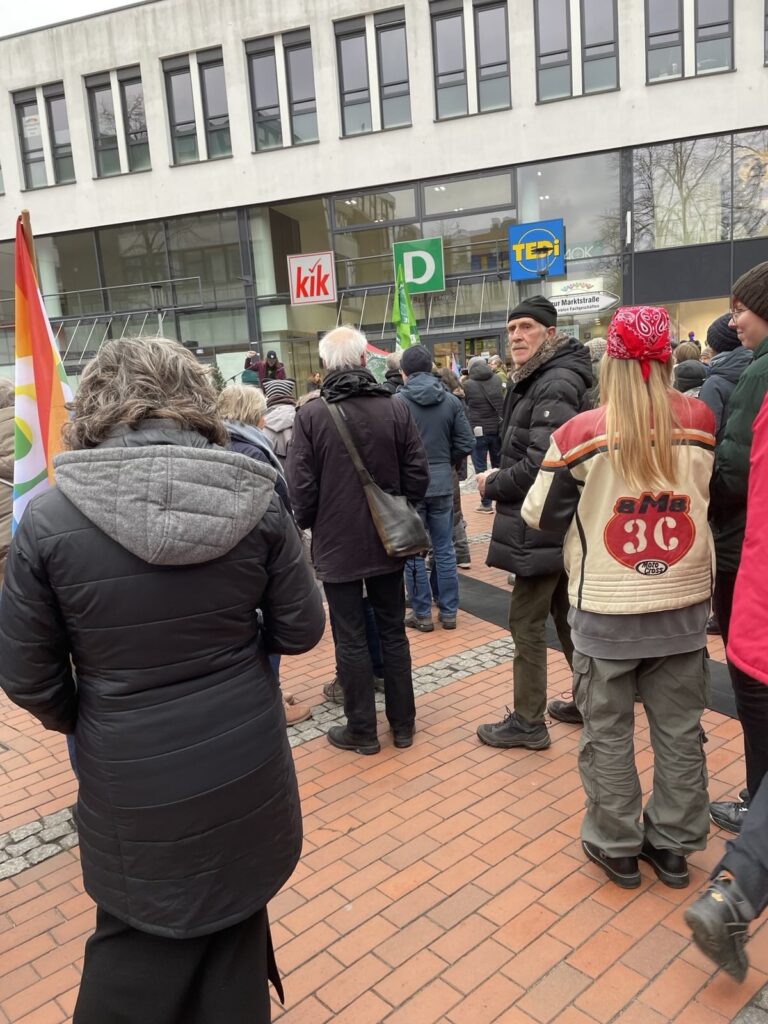 Demo von Friday fpr Future in Elmshorn