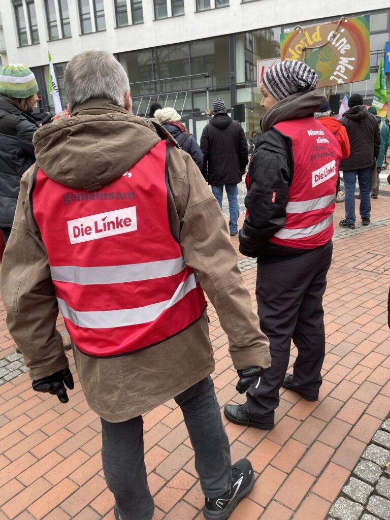 Demo von Friday fpr Future in Elmshorn