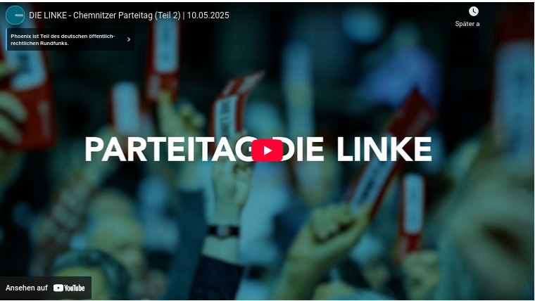 Tjark Naujoks aus Schleswig-Holstein auf dem Parteitag