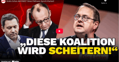 Sören Pellmann - Rede auf dem Parteitag