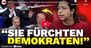 Rede Tamara Mazzi gegen AFD-Antrag