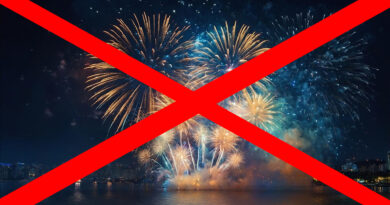 Symbolbild zu Petition Böllerverbot