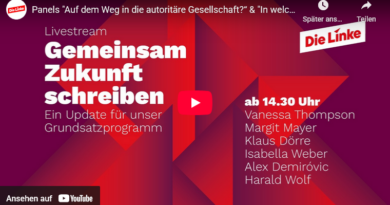 Programmdiskussion Linke