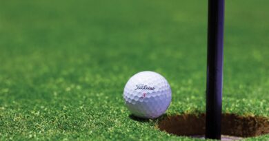 Golfball vor Loch
